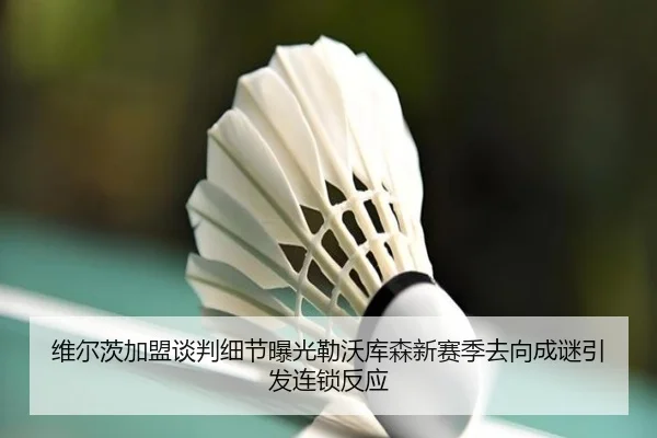 维尔茨加盟谈判细节曝光勒沃库森新赛季去向成谜引发连锁反应